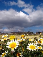 img_3009