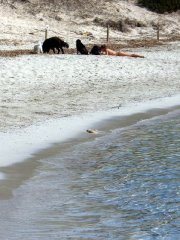 img_3234