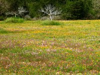 img_3309